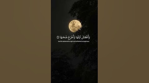 سورة النازعات • الآيات 27-33 • محمد أبا الحسن | Surah An-Nazi'at • Muhammad Aba Al-Hasan #quran
