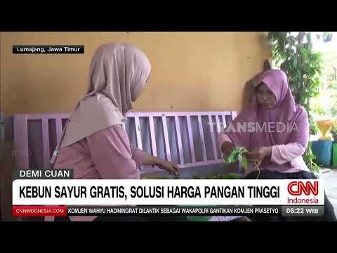 Bonsai Avocado Farming, the Profits Are Captivating | REDAKSI PAGI (10/02/26)