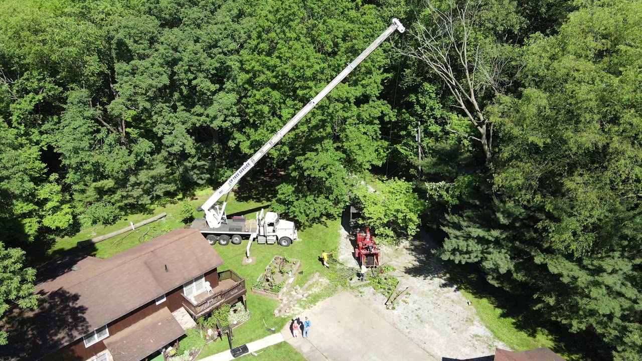Tree Removal Using A Crane - YouTube