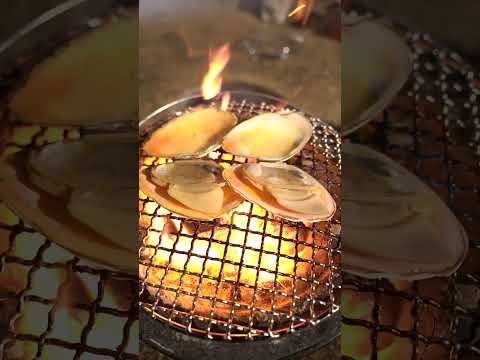 【七輪】白貝の炭火焼きがうますぎた！#asmr #bbq #seafood