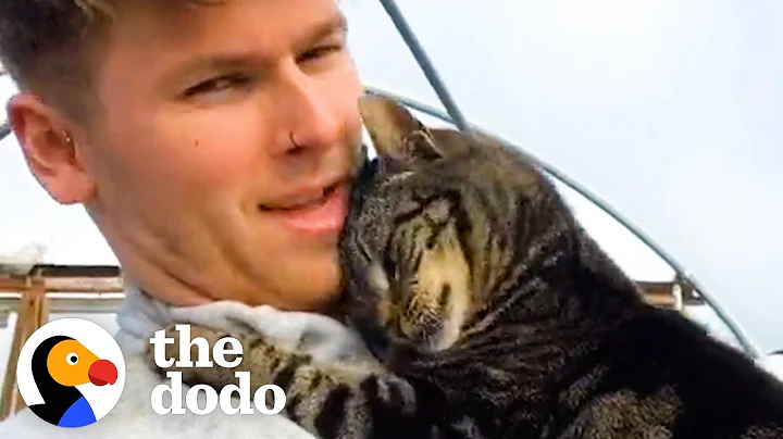 Cat Gives Her Dad Hugs All Day, Every Day | The Dodo Cat Crazy - DayDayNews