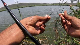 unique fishing || 🎣 catching big rohu fishes ||  awsome video