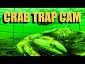 GOPRO INSIDE A CRAB TRAP