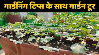 गार्डनिंग टिप्स के साथ गार्डन टूर | Garden Tour And Plant Update With Summer Gardening Tips In Hindi