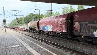 IMG 4366
