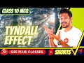 Tyndall Effect Light Reflection And Refraction Class 10 Physics MCQs Shorts mp3
