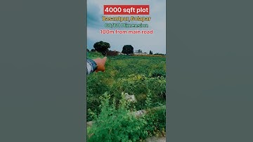 4000 Sqft plot Basantpur,Golapar👍 #plotforsale