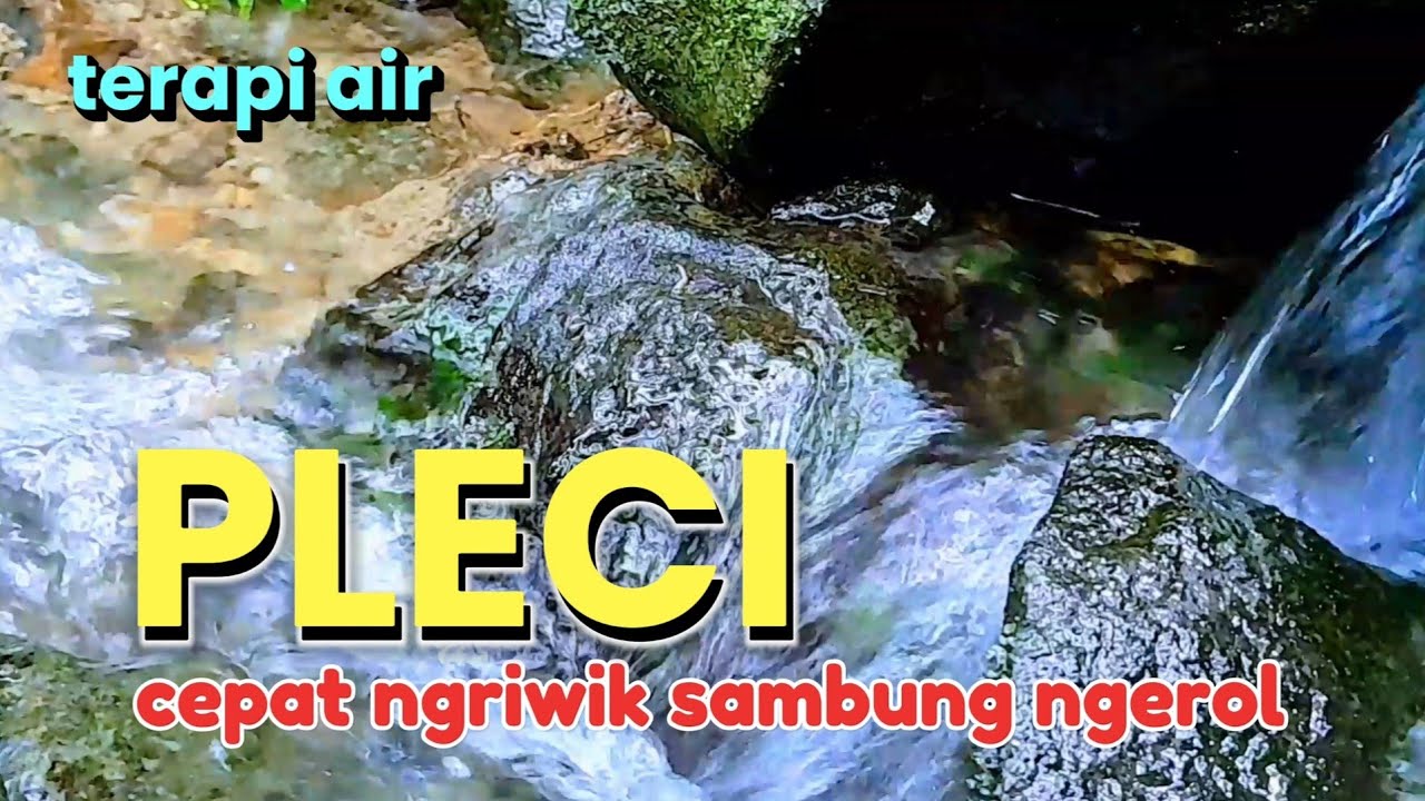 terapi air untuk burung pleci biar cepat ngriwik sambung ngerol, gemericik air