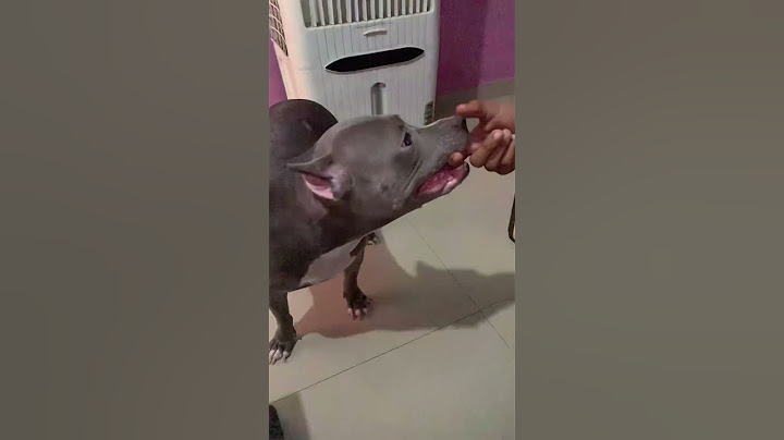 #Kalyug k Bachche🤦🏼‍♀️🤣🤣🤣#doglove#funnyvideo#comedy#subscribemyyoutubechannel#myworldyoutube