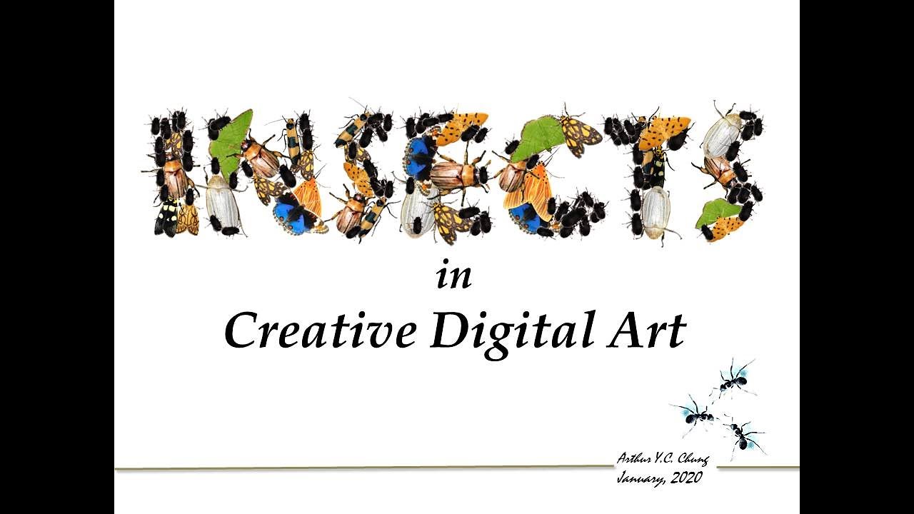 Insects in Creative Digital Art - YouTube