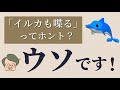 「イルカも喋る」は大ウソ【言語学って何?】#1