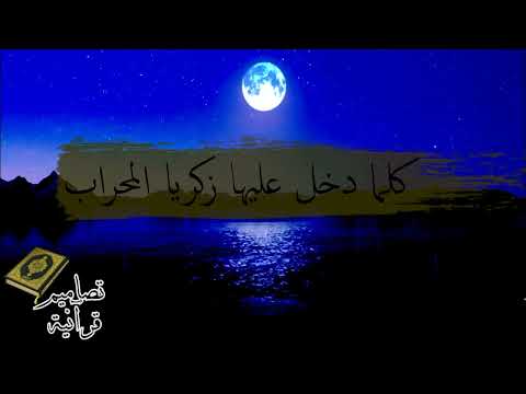 كلما دخل عليها زكريا المحراب الشيخ السيد المتولي عبد العال 