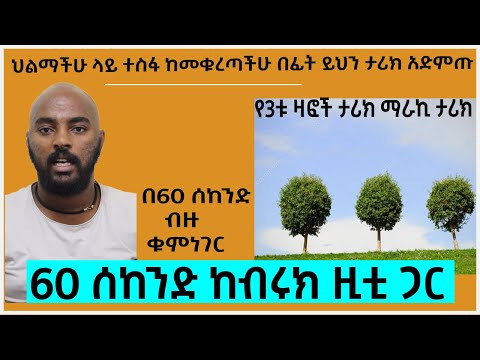 ቪዲዮ: ዛፍ ላይ እምነት