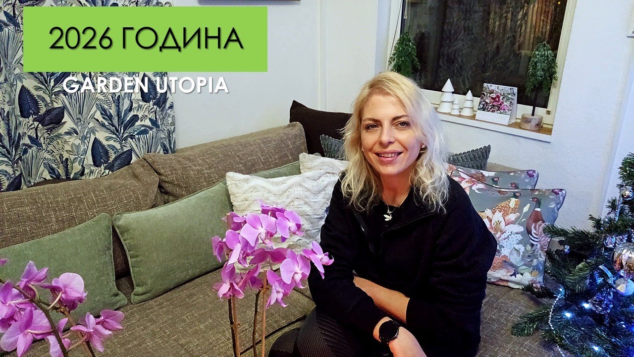 НОВА ГОДИНА: 