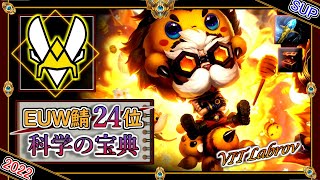 【EUW鯖チャレ24位】究極ガイド！VIT Labrovの「ハイマーSUP」！【チャレ上位帯のソロQ解説】LoL Heimerdinger