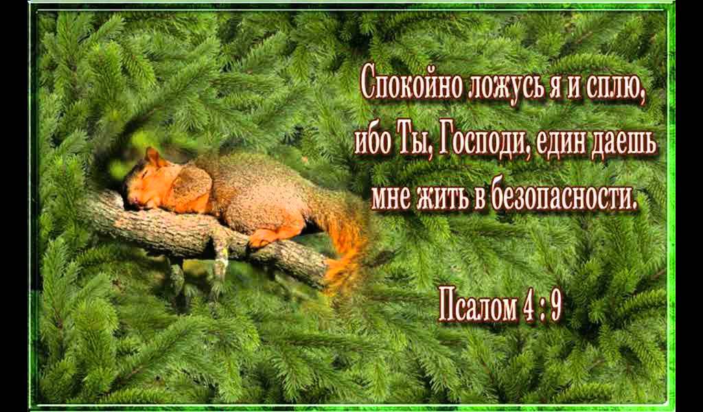 Доброй ночи православные картинки со смыслом