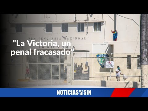 Video: Documental sobre perros VICKtory disponible el 1 de marzo