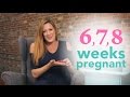 6, 7, & 8 Weeks Pregnant Ovia Pregnancy