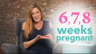 6, 7, & 8 Weeks Pregnant Ovia Pregnancy