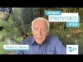 Lingva Provoko n-ro 55 (ALUDI - MENCII)