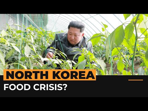 What we know about North Korea’s food shortages | Al Jazeera Newsfeed