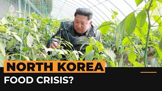What we know about North Korea’s food shortages | Al Jazeera Newsfeed