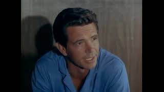 Lassie -  Flight Of The Cougar (1967) full movie