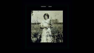 Cosmo Bloom - Damaged III
