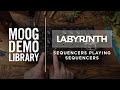 Labyrinth | Sequencers Playing Sequencers