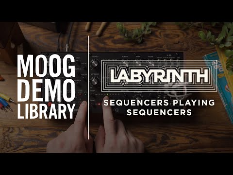 Labyrinth | Sequencers Playing Sequencers