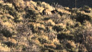 UTAH HUNT 2014 - HAJI SAM