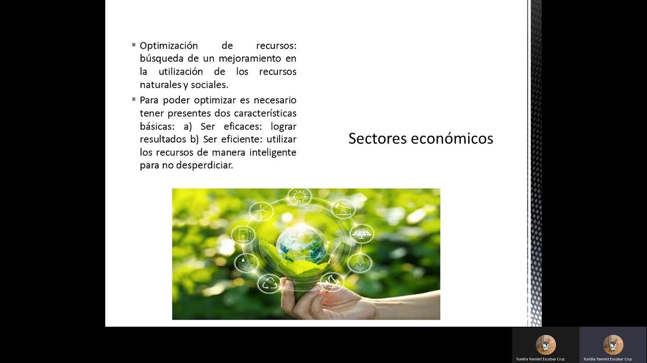 Lecci n 7 estructura econ mica youtube