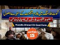 Goat Farming Mein Farm Management Ke Sunehri Usool!Mazboot Management Farming Mein Kamyabi Ki Zamin 