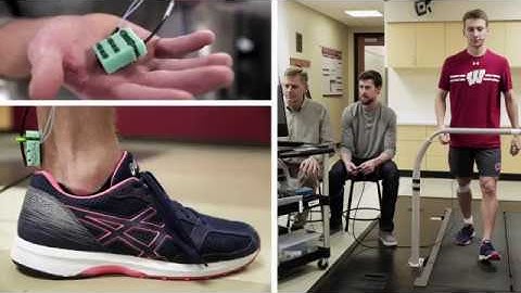 Vibrating tendons can illuminate mechanics of human movement