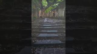 صوت المطر للاسترخاء[خد استراحة قصيرة من التفكير المستمر] #whitenoise #gentlerain #rain