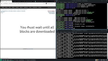 Tuto : Install Coin (Luckybit) on Yiimp Vanilla (install, launch and find block)