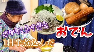 とある日の夕食は美味しそうなゆかりしらす丼と煮込まれたおでん。【本篇】