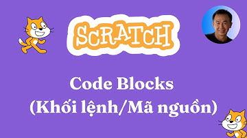 Lập trình Scratch | Code blocks (Các khối lệnh)