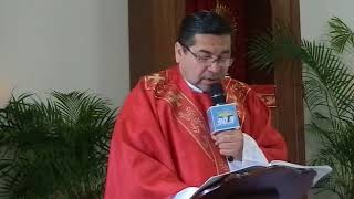 Domingo de Ramos 2018 Santa Misa completa (2 de 3)