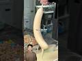 Viral frozen banana desert 🍌| genius business idea | #viralbusiness #businessideas