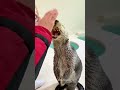 《鳥羽水族館》ラッコのキラちゃん🦦新技『キャッチ&ポイっ』🥰