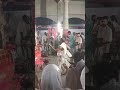 #shorts #assam #dance #harinamvideo #viral #reels