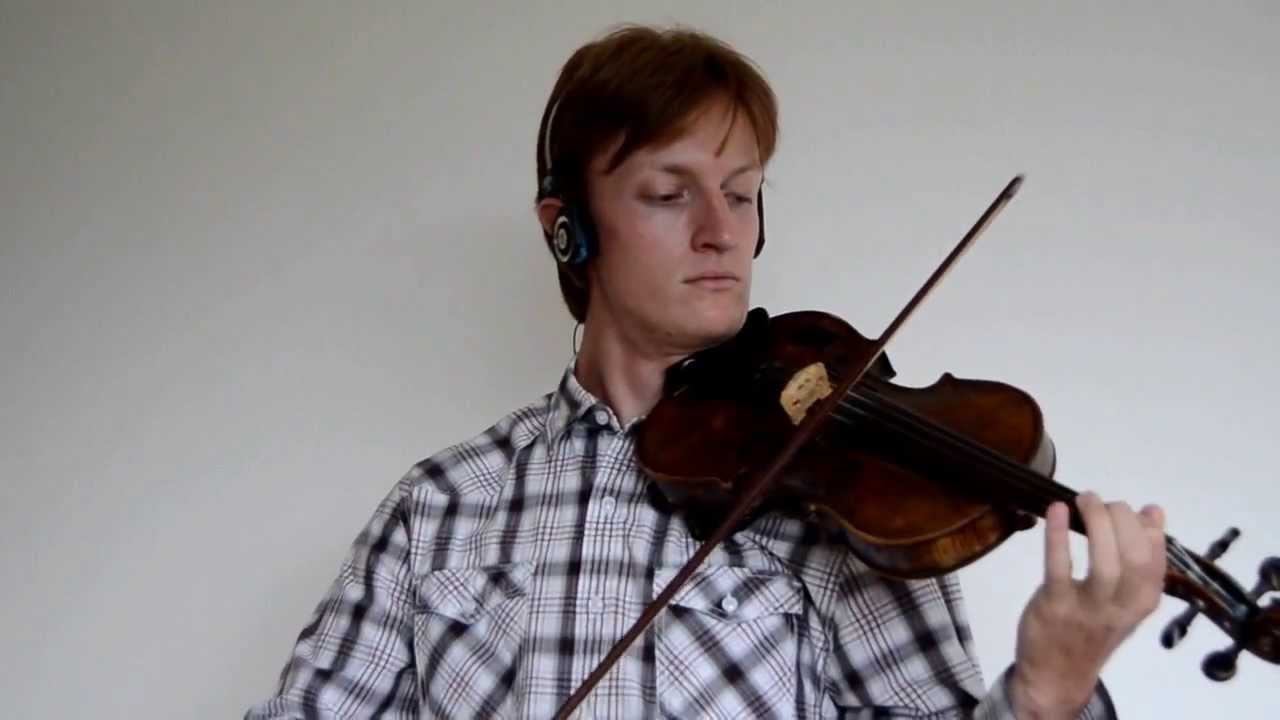 La Noyée - MusicianDalibor (violin cover) La Noyée - MusicianDalibor (violin cover)