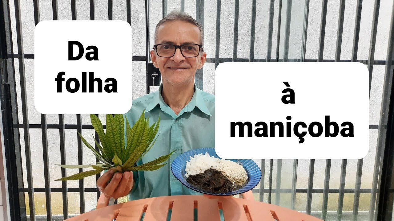 DA FOLHA À MANIÇOBA