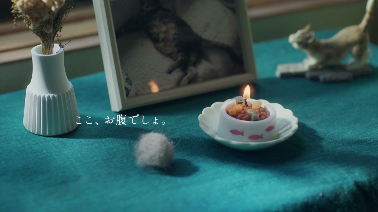おかわりごはんキャンドル（猫用）｜カメヤマローソク直営販売店