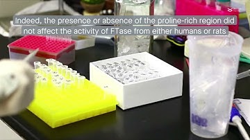 Removing proline-rich region of farnesyltransferase does not alter enzyme activity