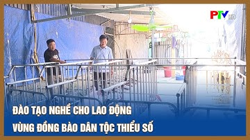 Đào tạo nghề cho lao động vùng đồng bào dân tộc thiểu số