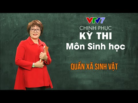 Video: Những đặc điểm vật lý nào được sử dụng để xác định quần xã sinh vật?