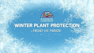 Frost Vs Freeze: Winter Plant Protection