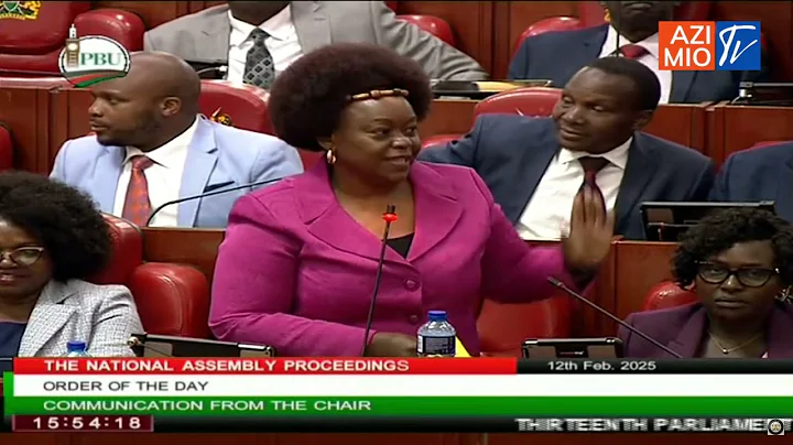 MP Millie Odhiambo REACTS after Wetangula QUASHED Azimio majority despite court ruling
